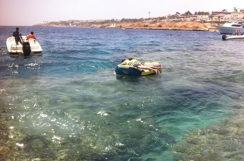 Photo 39 - Shark Bay Oasis