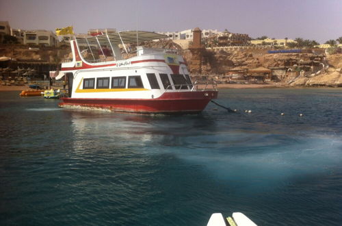 Photo 45 - Shark Bay Oasis