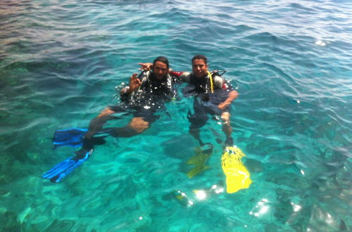 Photo 41 - Shark Bay Oasis