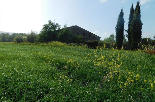 Foto 8 - Maremma 4 Apartment in Ancient Farm