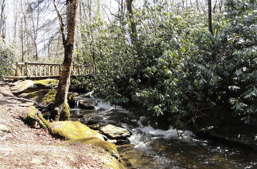 Photo 22 - VCI - Elderberry Overlook