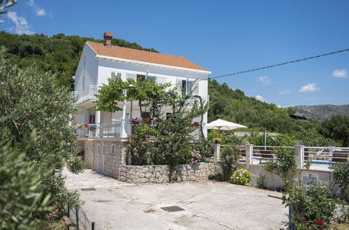Photo 18 - Villa Olivia Dubrovnik