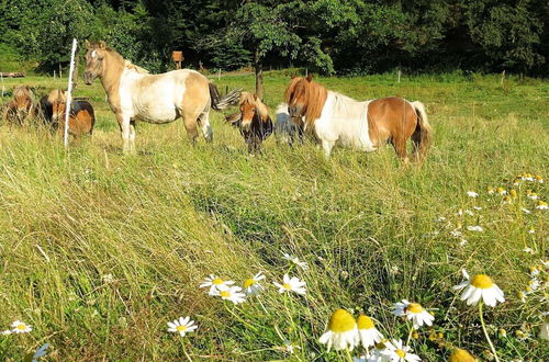 Photo 23 - Holiday Farm Situated Next to the Kellerwald-edersee National Park With a Sunbathing Lawn