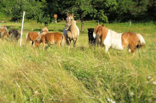 Photo 29 - Holiday Farm Situated Next to the Kellerwald-edersee National Park With a Sunbathing Lawn