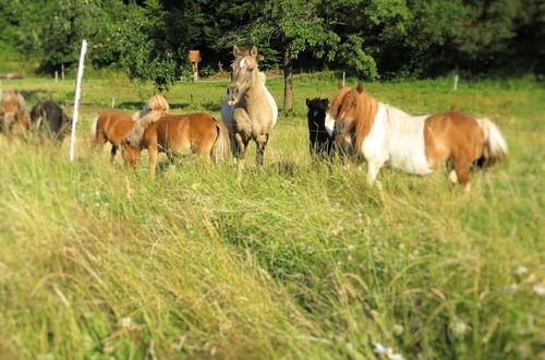 Photo 25 - Farm Situated Next to the Kellerwald National Park