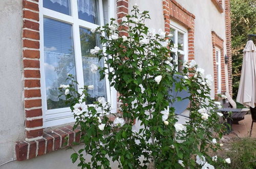 Photo 30 - Ferienwohnung im Gutshaus Alt Krassow Inmitten der Natur