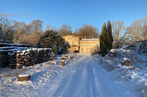 Photo 25 - Ferienwohnung im Gutshaus Alt Krassow Inmitten der Natur