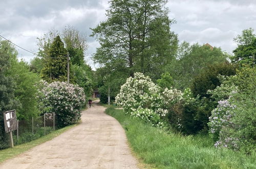 Foto 40 - Ferienwohnung im Gutshaus Alt Krassow Inmitten der Natur