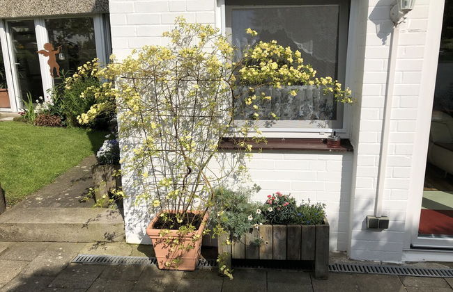 Ferienwohnung Dettum - Foto 45