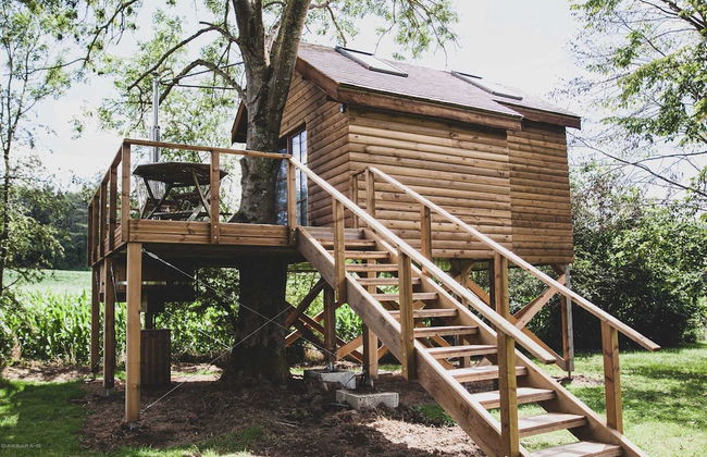 Romantic Woodland Chalet - Foto 60