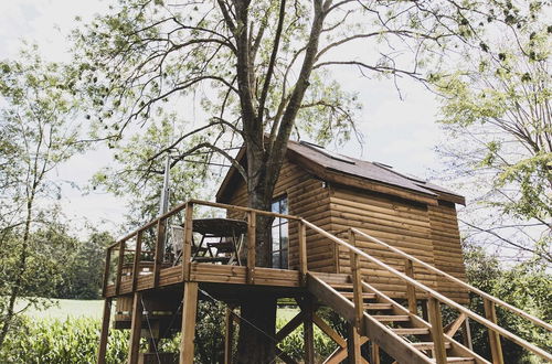 Photo 33 - Dreamy Chalet in Barvaux-sur-ourthe With Sauna