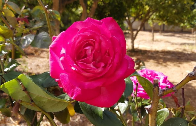 Villa Armonia, Everything Is In Harmony - Foto 29