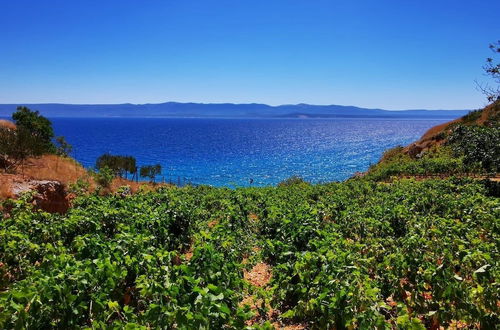 Photo 17 - Smokovlje - sea View and Vineyard - H