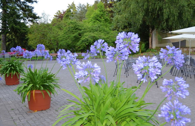 Geraumiges Ferienhaus im Kellerwal mit Terrasse - Foto 28
