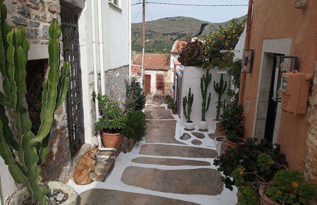 Nektarios Village House Near to Spinaloga - Foto 20