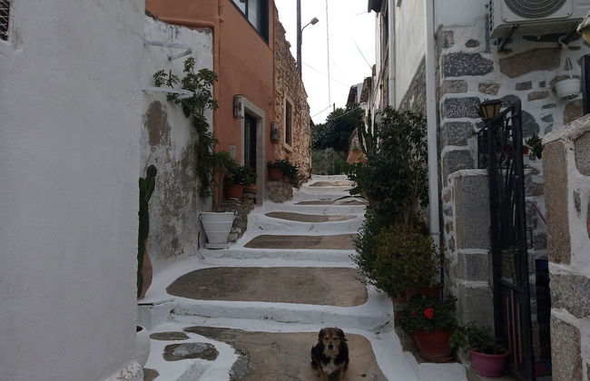 Nektarios Village House Near to Spinaloga - Foto 19