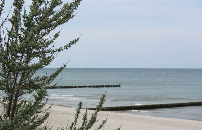 Moderne Ferienwohnung in Graal-muritz, Strandnah - Foto 39