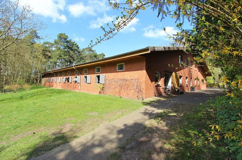 Photo 21 - Apartment in Kirchdorf on a Riding Stables