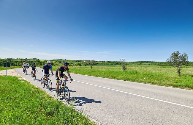 Willa Trojka - Foto 34