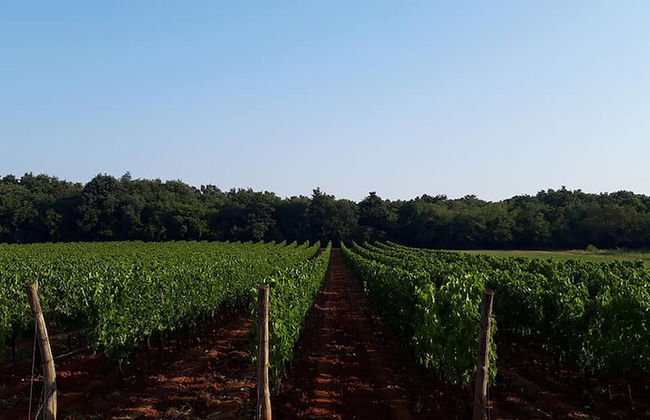 Willa Trojka - Foto 46