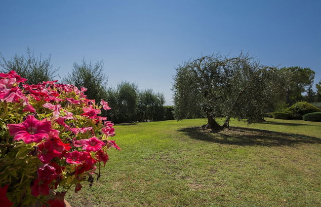 Farmhouse in Chianti With Pool and Terrace - Foto 23