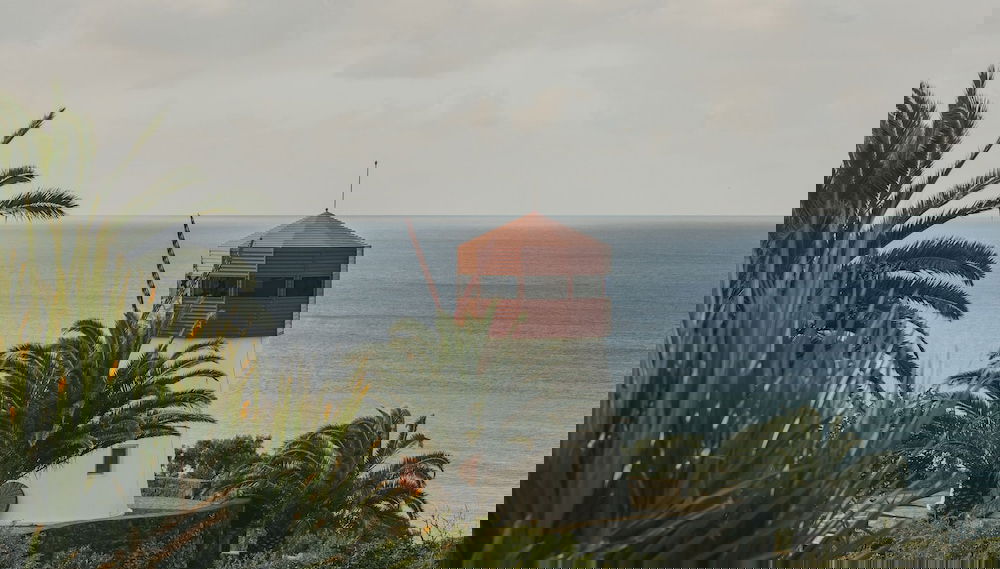 Image principale