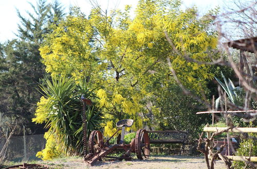 Photo 23 - Agriturismo I Casamenti