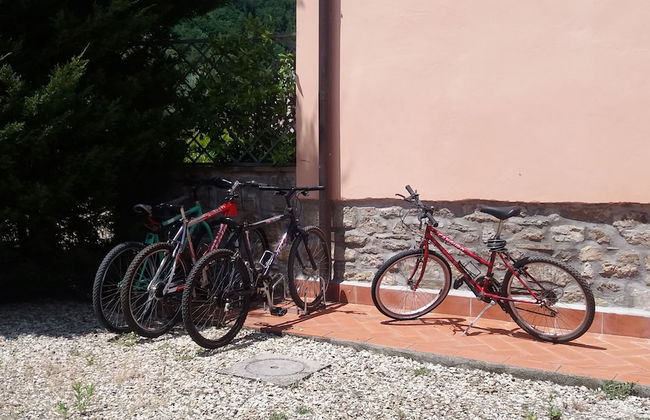 Trebbiolo - Foto 40