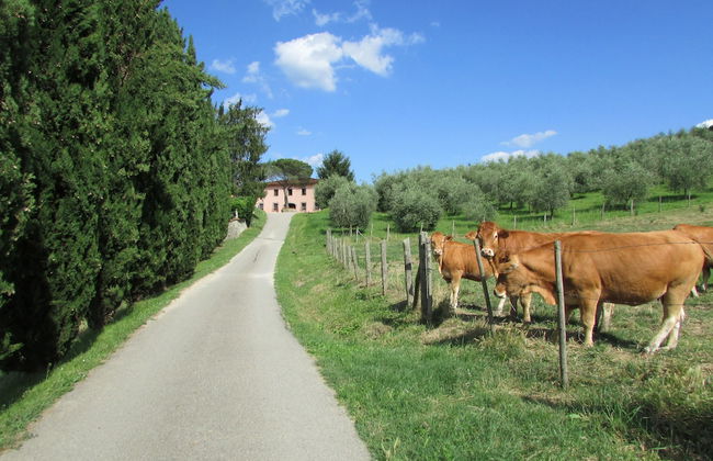 Trebbiolo - Foto 52