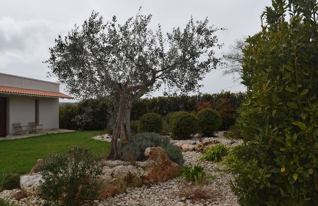 Masseria Corte Masseriola - Foto 44