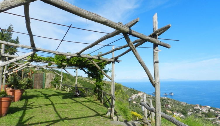 Photo 1 - Fattoria Terranova