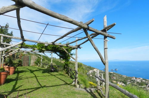 Photo 1 - Fattoria Terranova