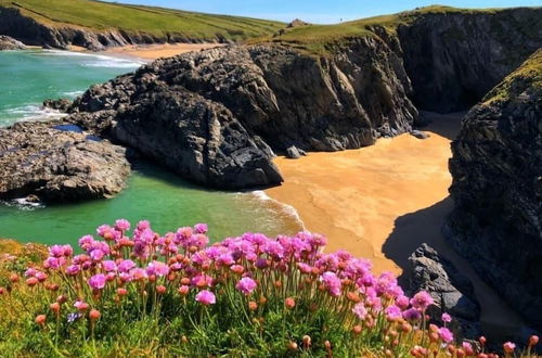 Photo 10 - Lovely Holiday Home nr Kynance Cove