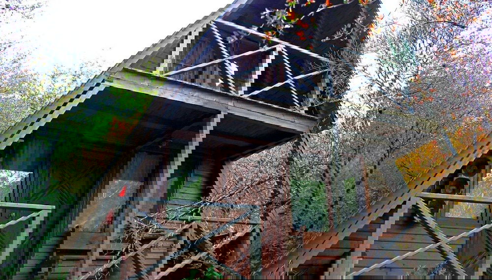 Imagem principal
