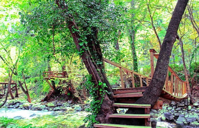 Antik Vadi Bungalov Otel - Foto 30