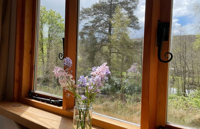 Cosy Woodland off Grid Shepherds Hut - Rowan - Foto 2