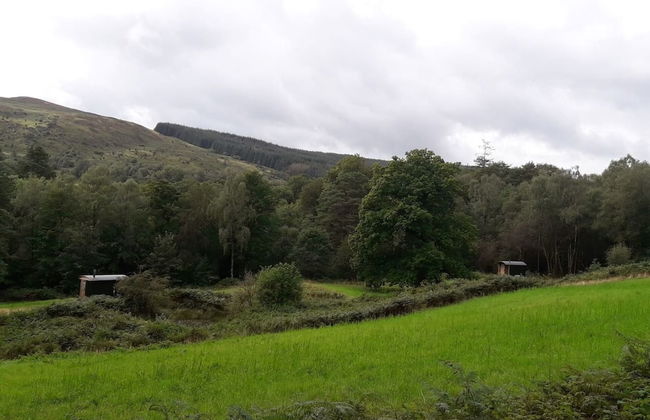 Cosy Woodland off Grid Shepherds Hut - Rowan - Foto 22