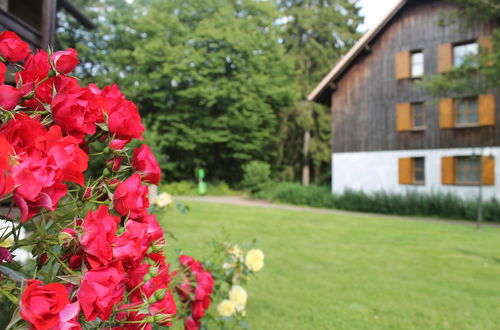 Foto 41 - Hapimag Resort Braunlage