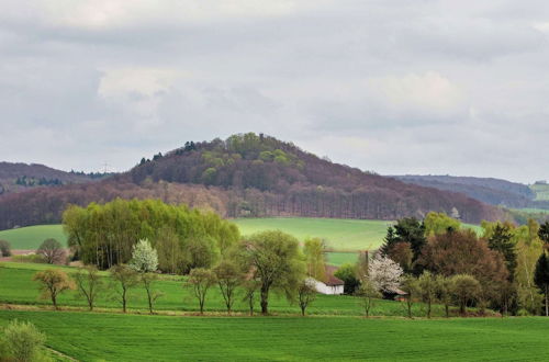 Photo 21 - Large Detached Holiday Home in Hesse