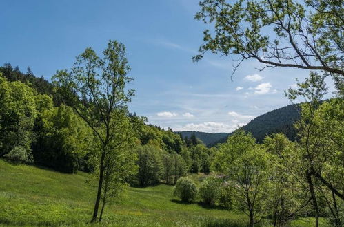 Photo 11 - Luxus Ferienhaus Schwarzwald Dieboldsberg