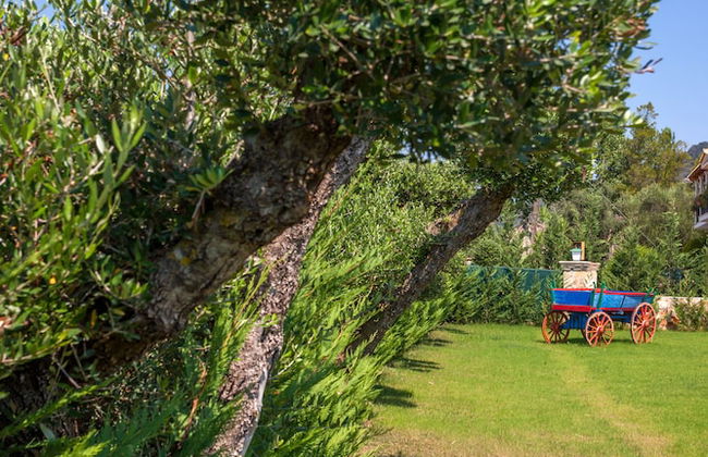 Agro Art Boutique & Luxury Villas - Foto 72