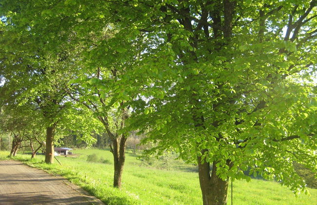 Apartment in Kirchhundem in the Middle of Nature - Foto 16