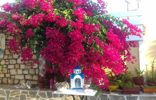 Ricos Two bedroom House - Naoussa Paros - Foto 28