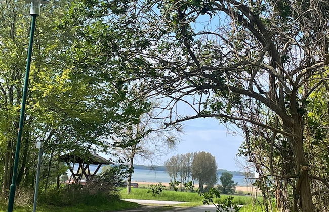Bungalow Park am Salzhaff - Foto 52