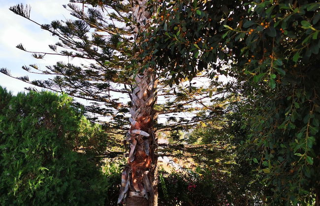 Villa Irene - Foto 59