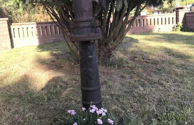 Triumph in der Heide - Foto 27