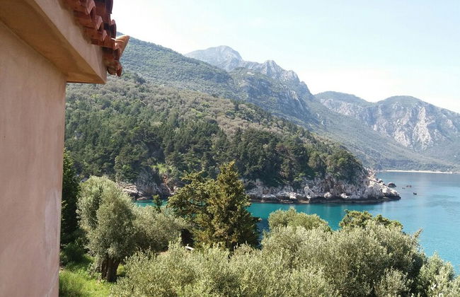 Marnei Mare - Foto 42