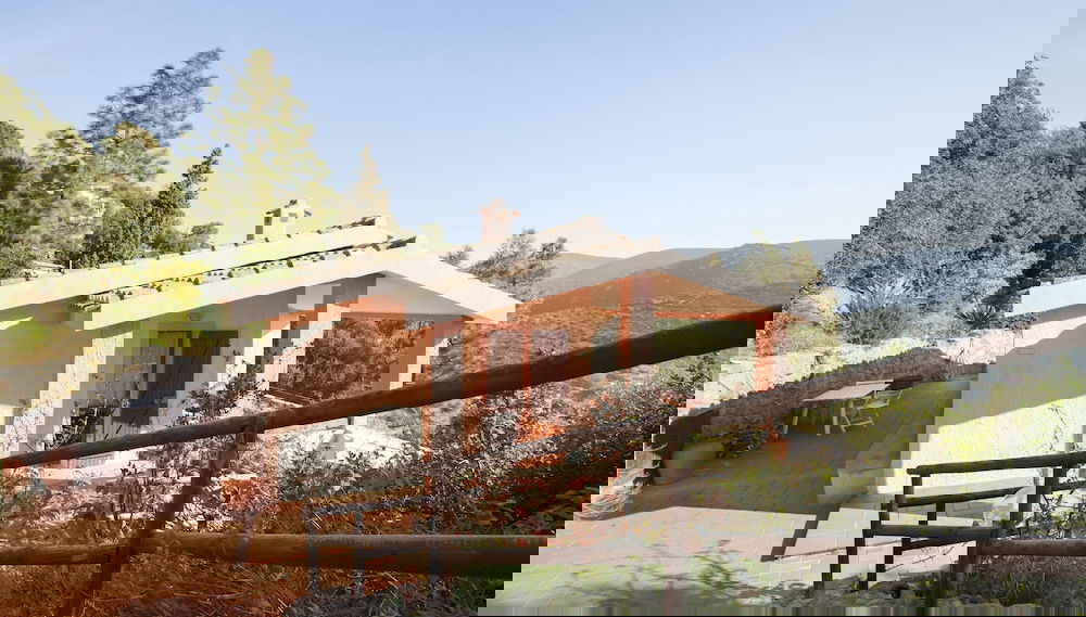 Primary image