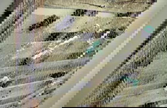 ControVento Rooms - Photo 30