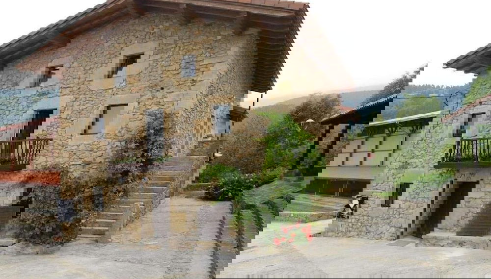 Primary image